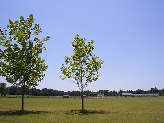 100_1224.jpg