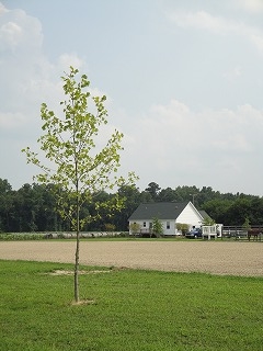 DSC00214.jpg