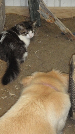DSC00952.jpg