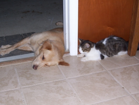 100_3521.jpg