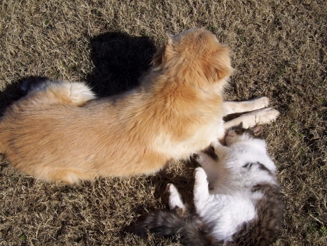 100_3874.jpg