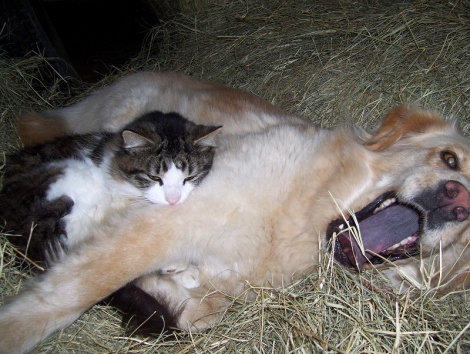 100_3781.jpg